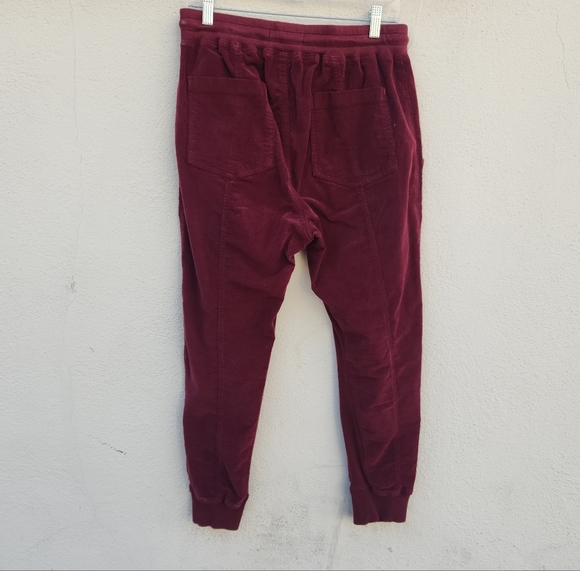 Anthropologie Leigh Corduroy Joggers - Picture 3 of 8